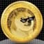 DOGE