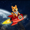 STARSHIPDOGE