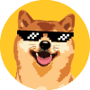 FLOKICASH