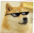 OGDOGE